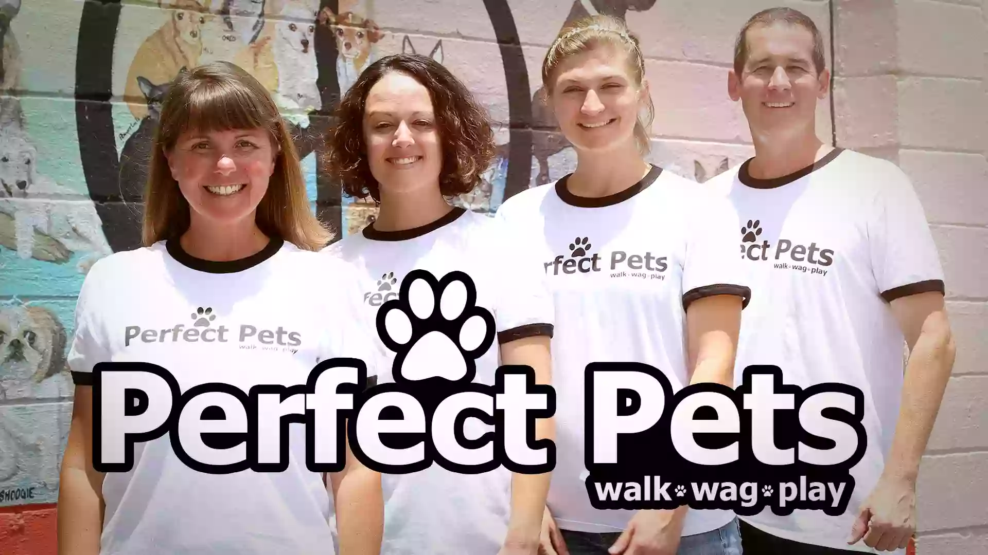 Perfect Pets Doggy Daycare, Grooming, Enrichment & Nutrition