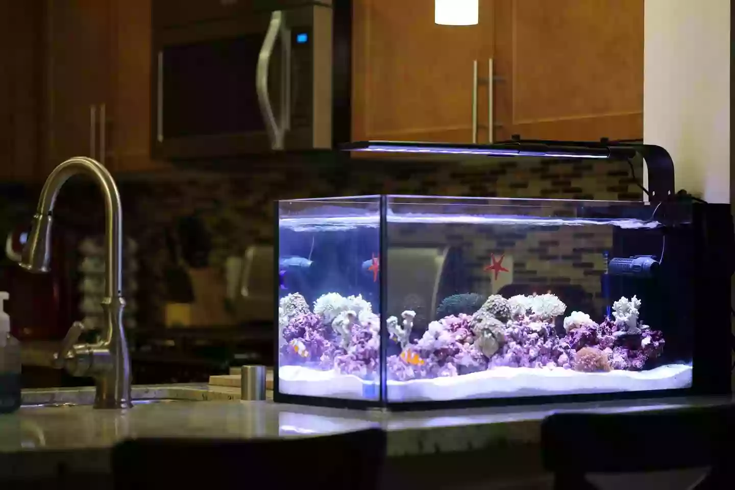Coral Sea Aquariums