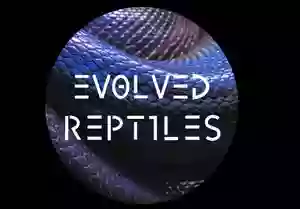 Evolved Reptiles