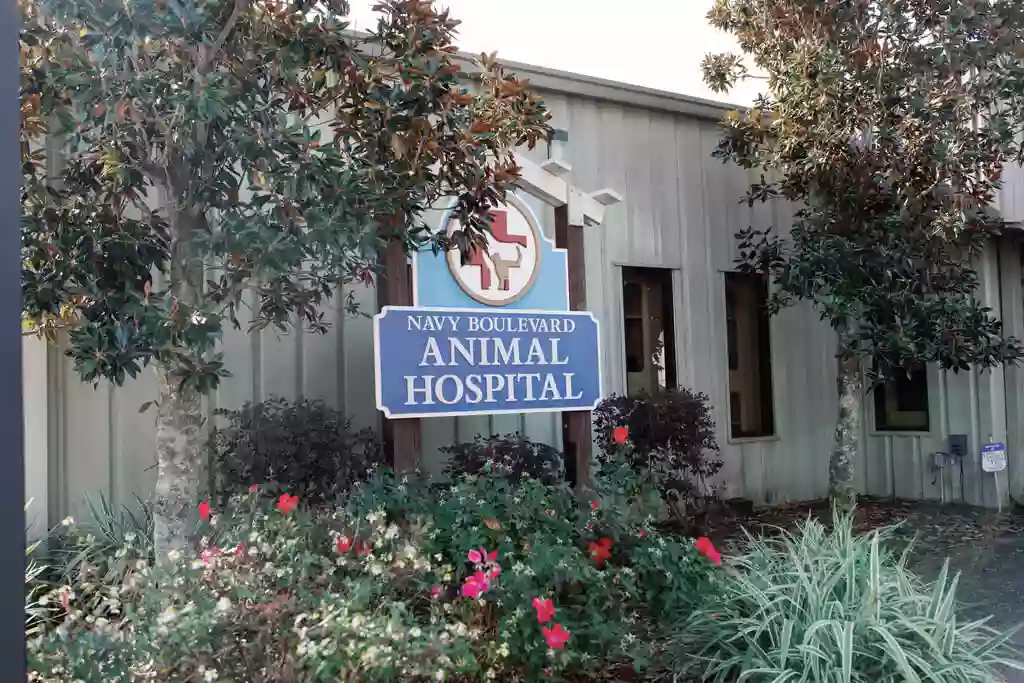 Navy Boulevard Animal Hospital