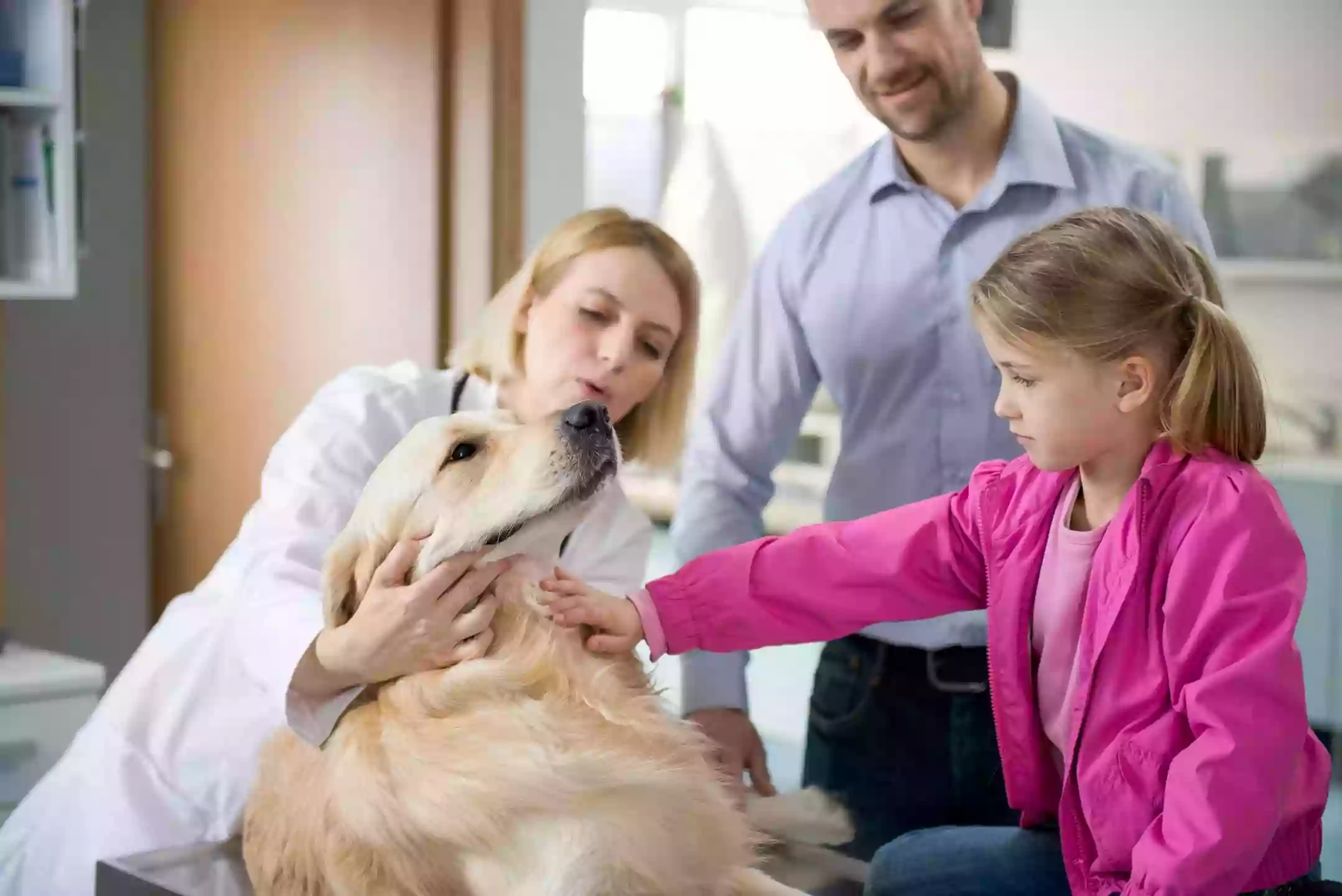 Paw Prints Veterinary Clinic