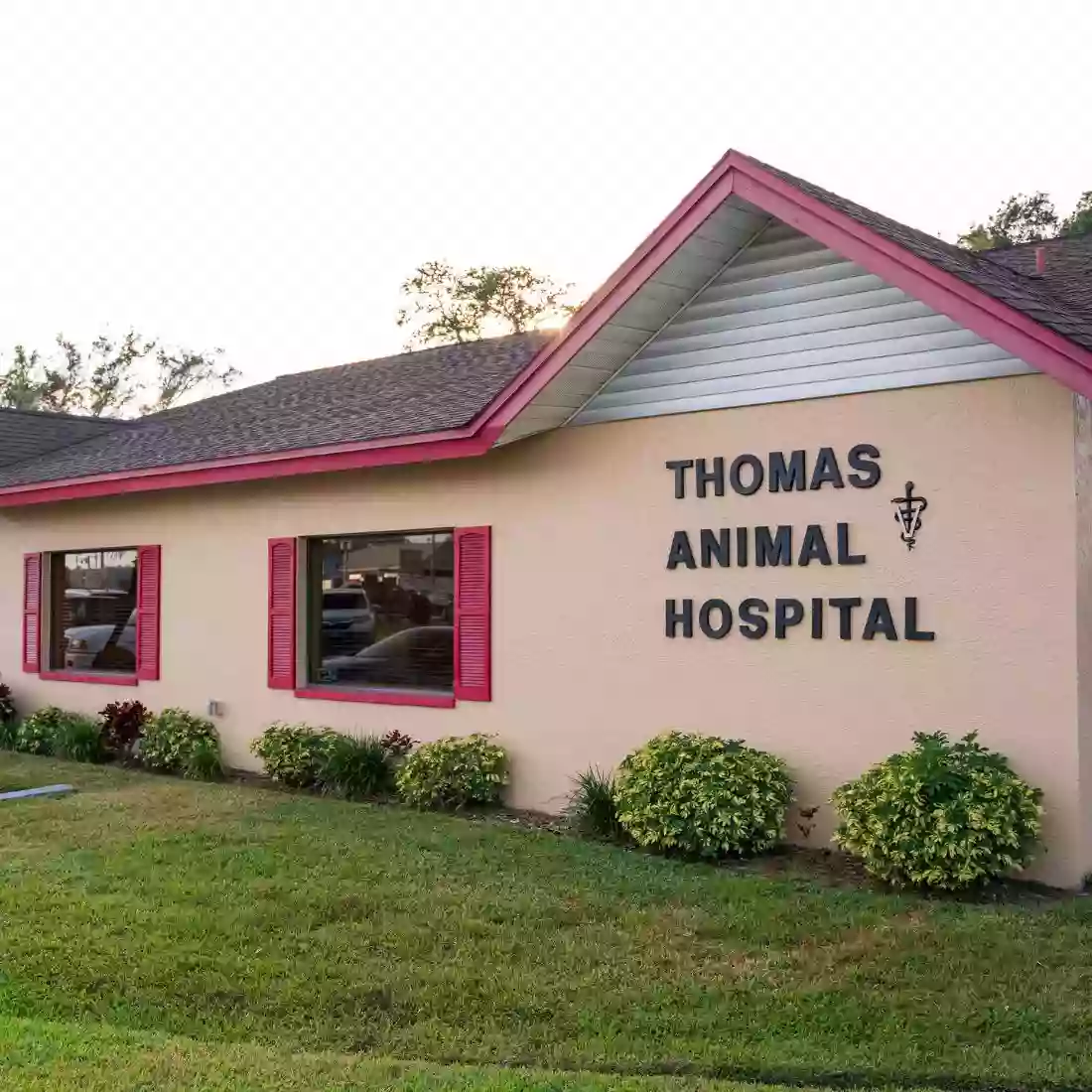 Thomas Animal Hospital