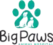Big Paws Animal Hospital