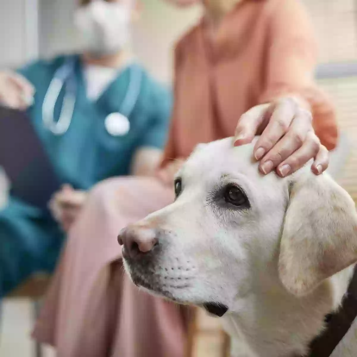 Thompson's Veterinary Center