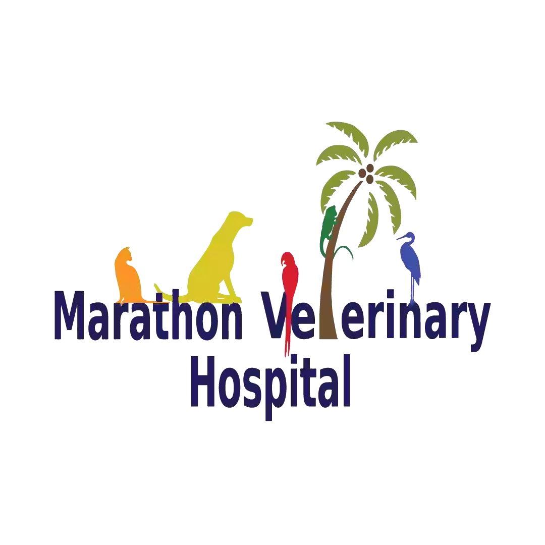 Marathon Veterinary Hospital, A Thrive Pet Healthcare Partner