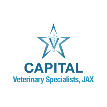 Capital Veterinary Specialists, JAX and Animal ER