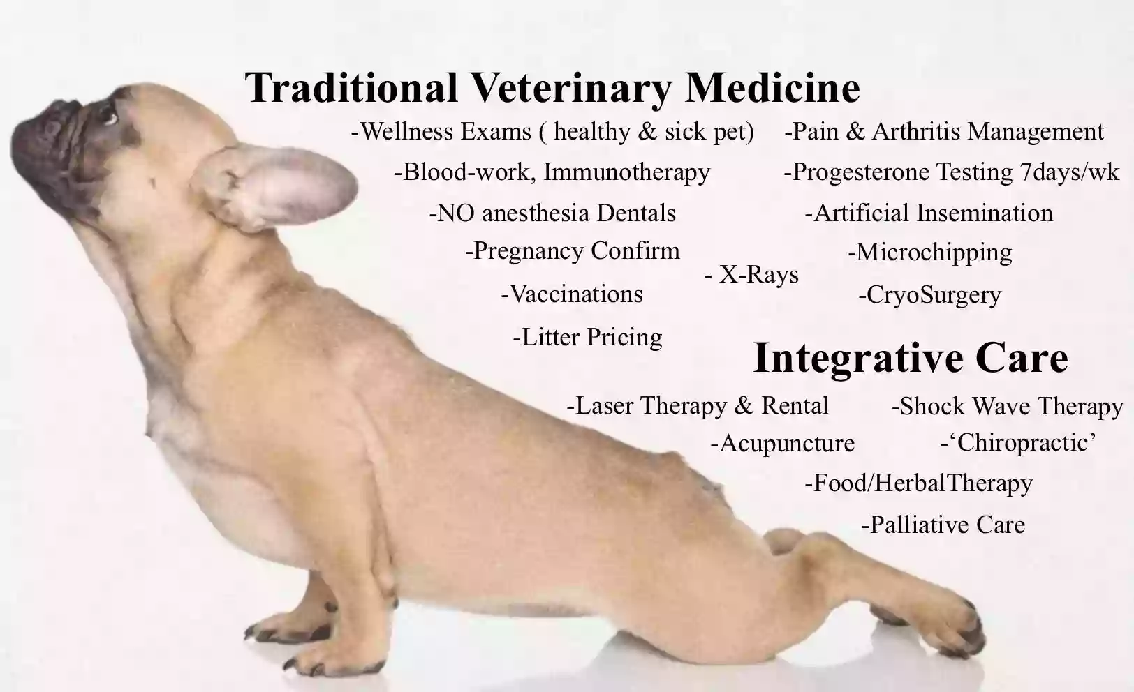 AcuVetDoc Veterinary Reproduction & Animal Care Wellness Clinic