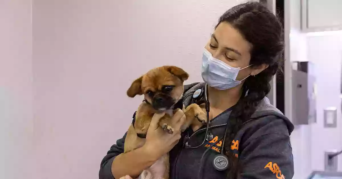 ASPCA Community Veterinary Clinic - By Appointment Only