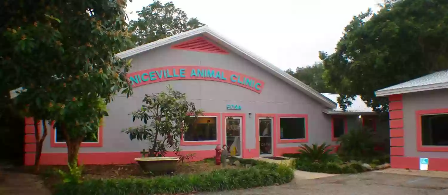 Niceville Animal Clinic: Davis Steve DVM