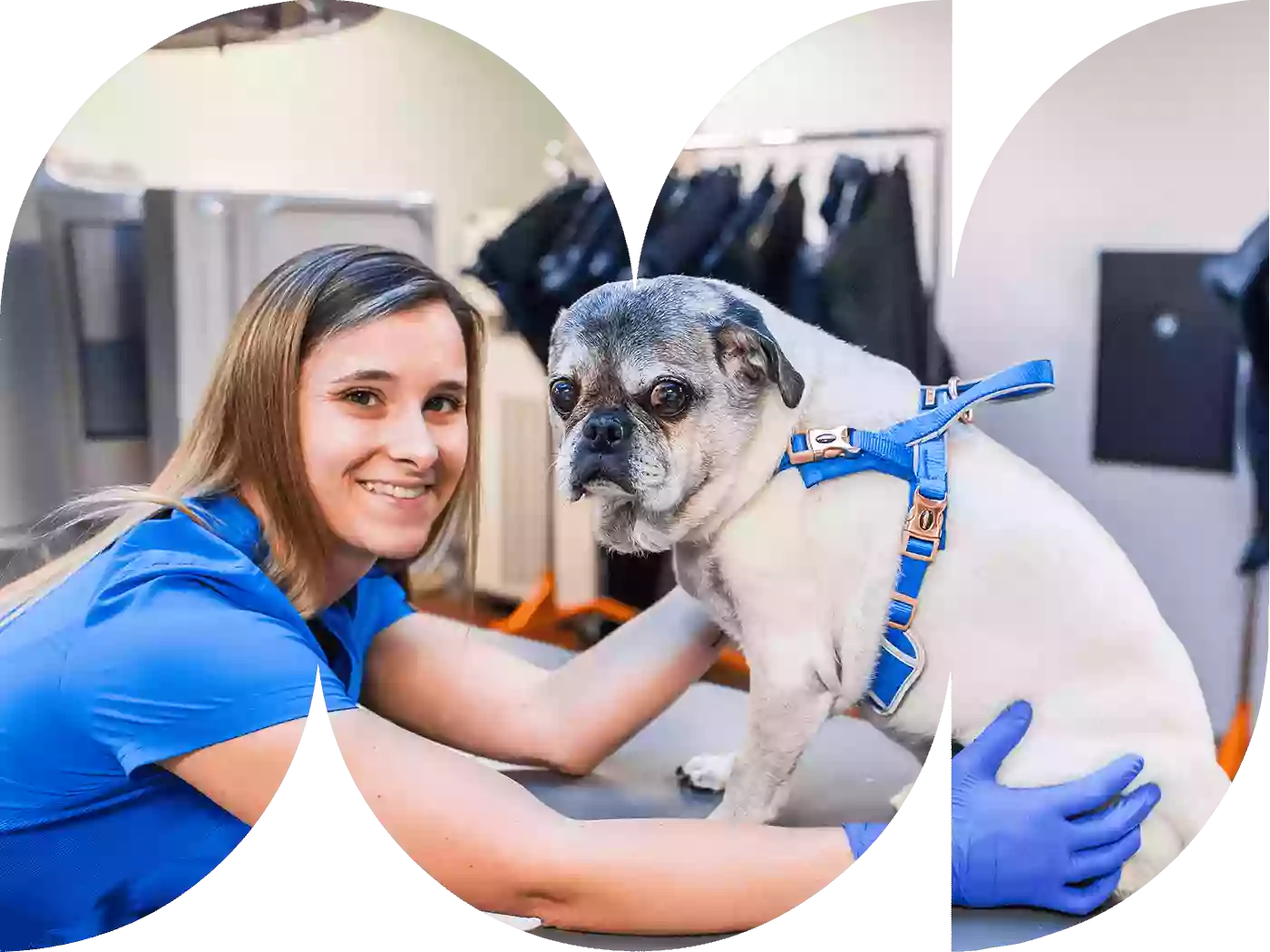 Fetch Specialty & Emergency Veterinary Centers - Fort Myers, FL