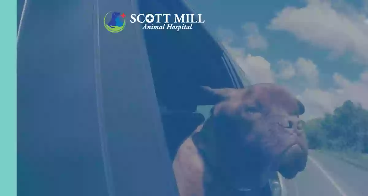 Scott Mill Animal Hospital