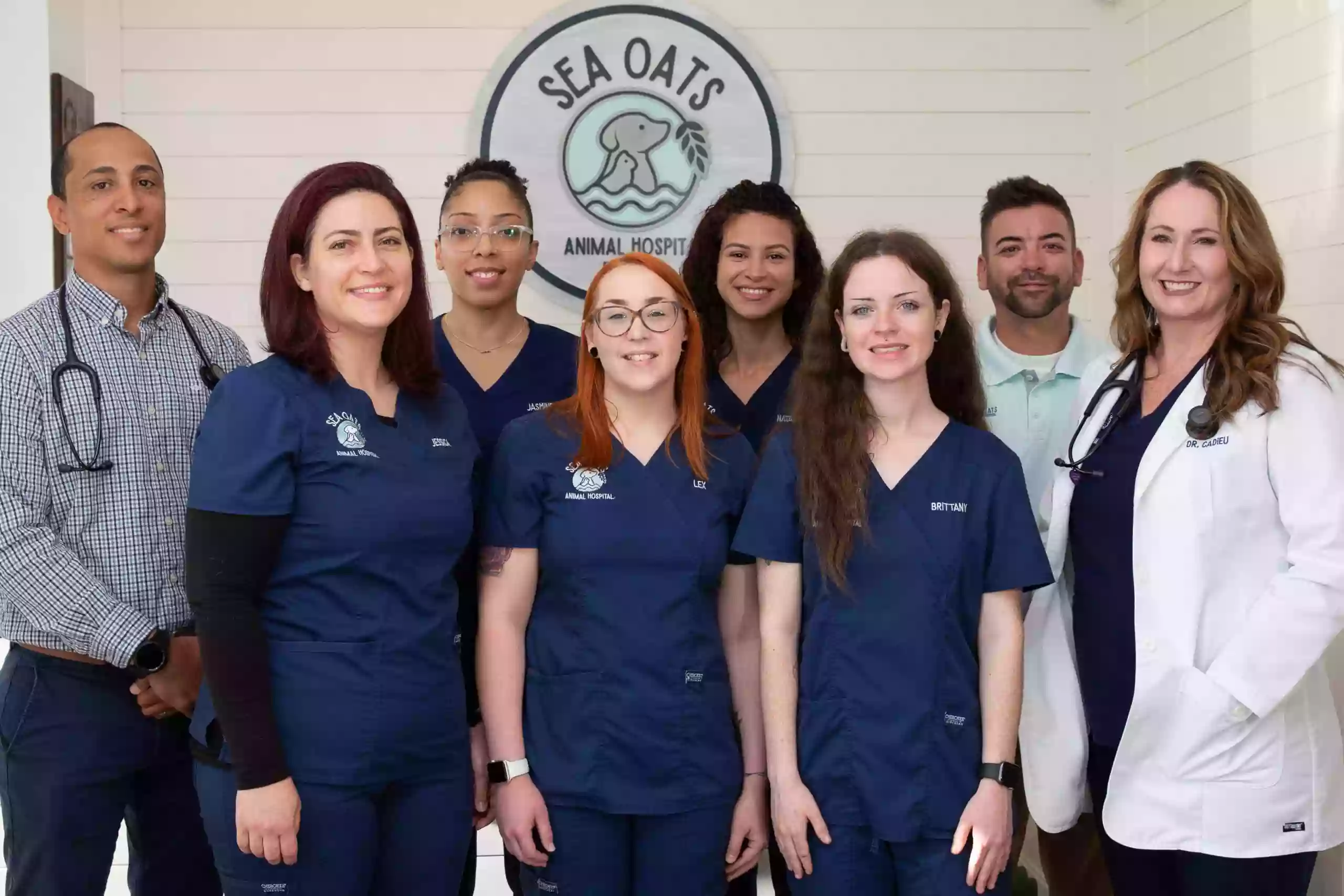 Sea Oats Animal Hospital