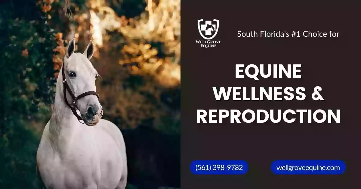 WellGrove Equine