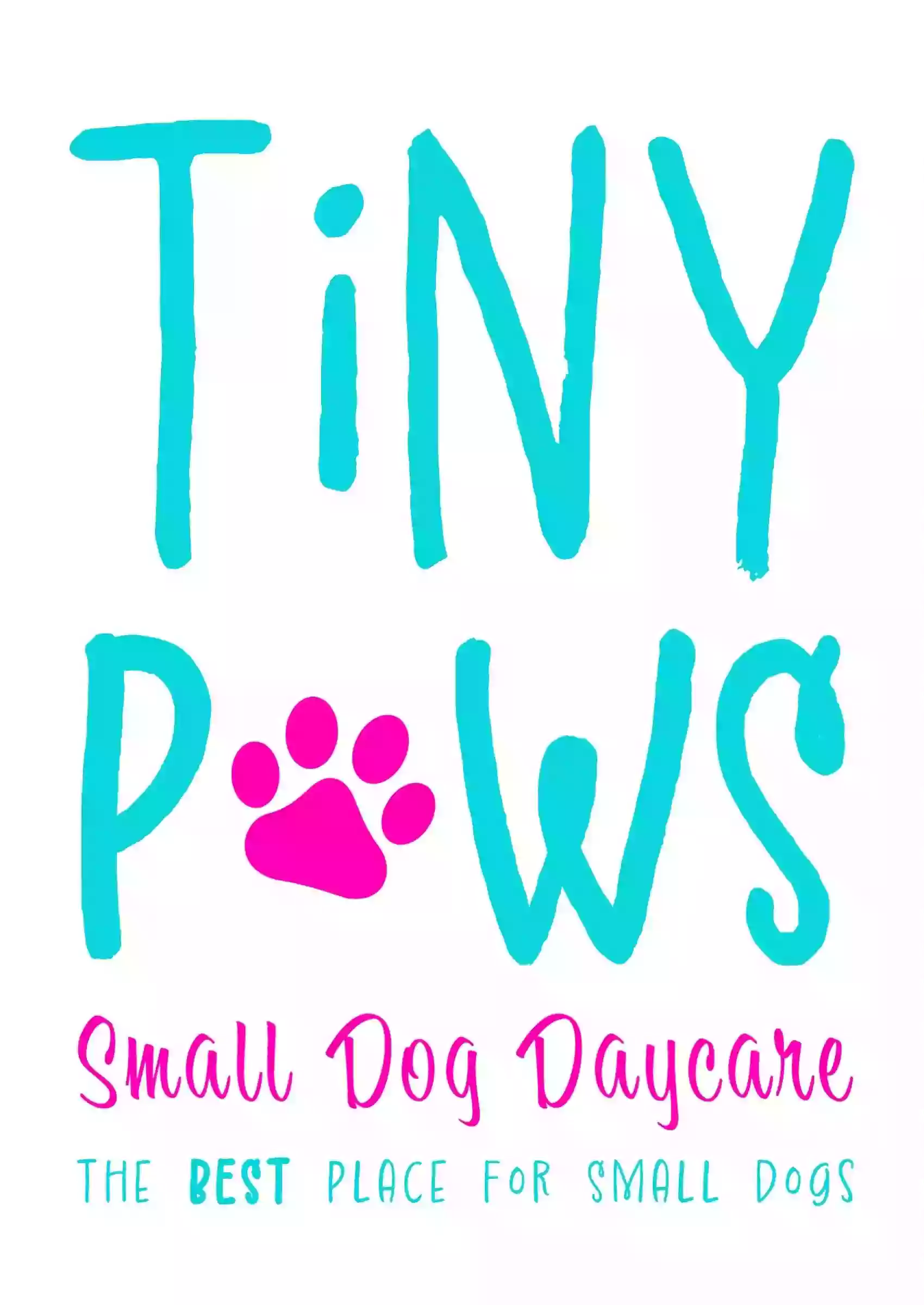 Tiny Paws Doggy Daycare "The BEST Place for Small Dogs!"