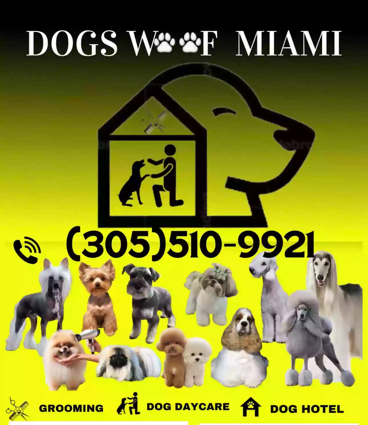 DOGS WOOF MIAMI