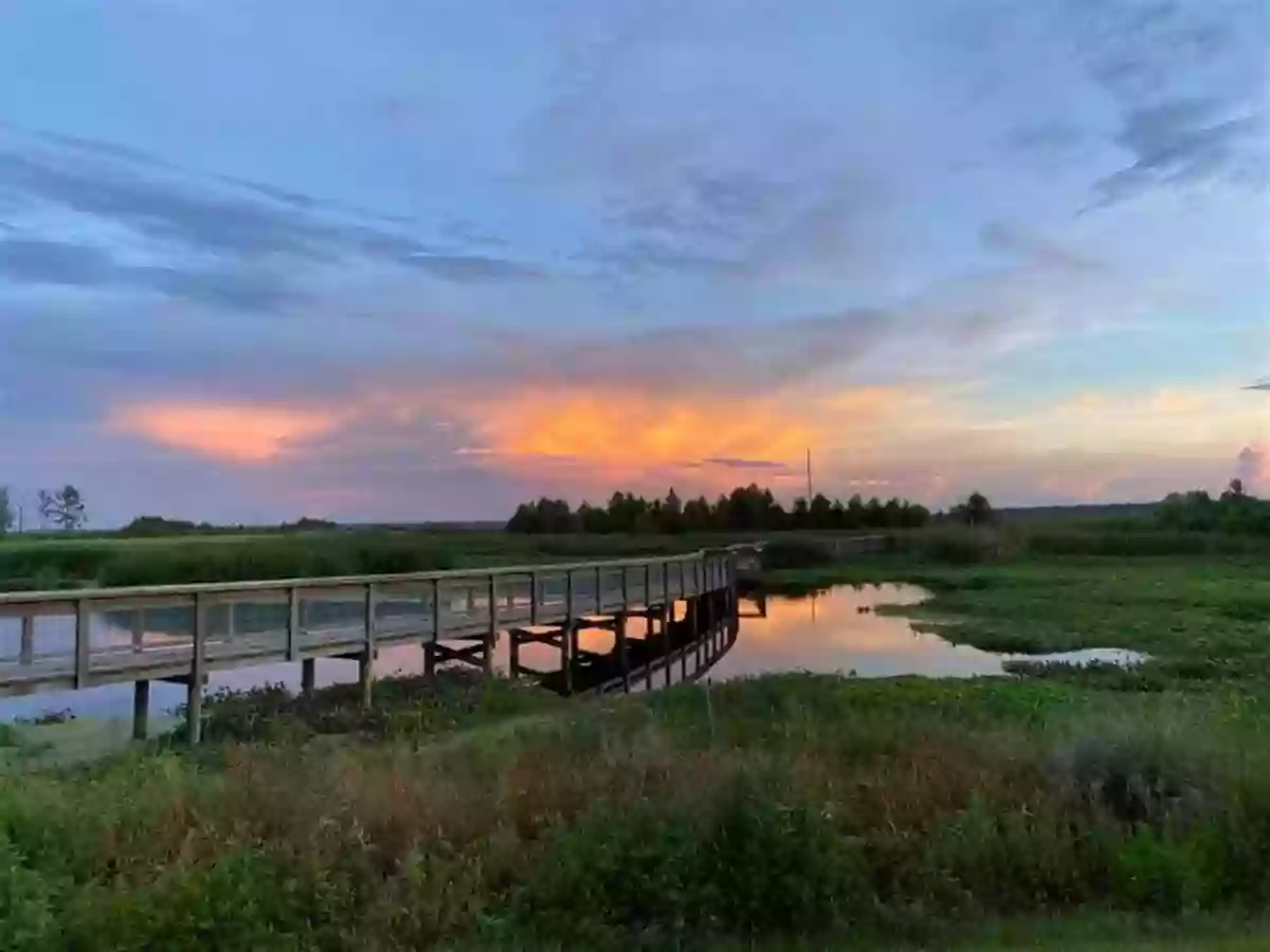 Sweetwater Wetlands Park