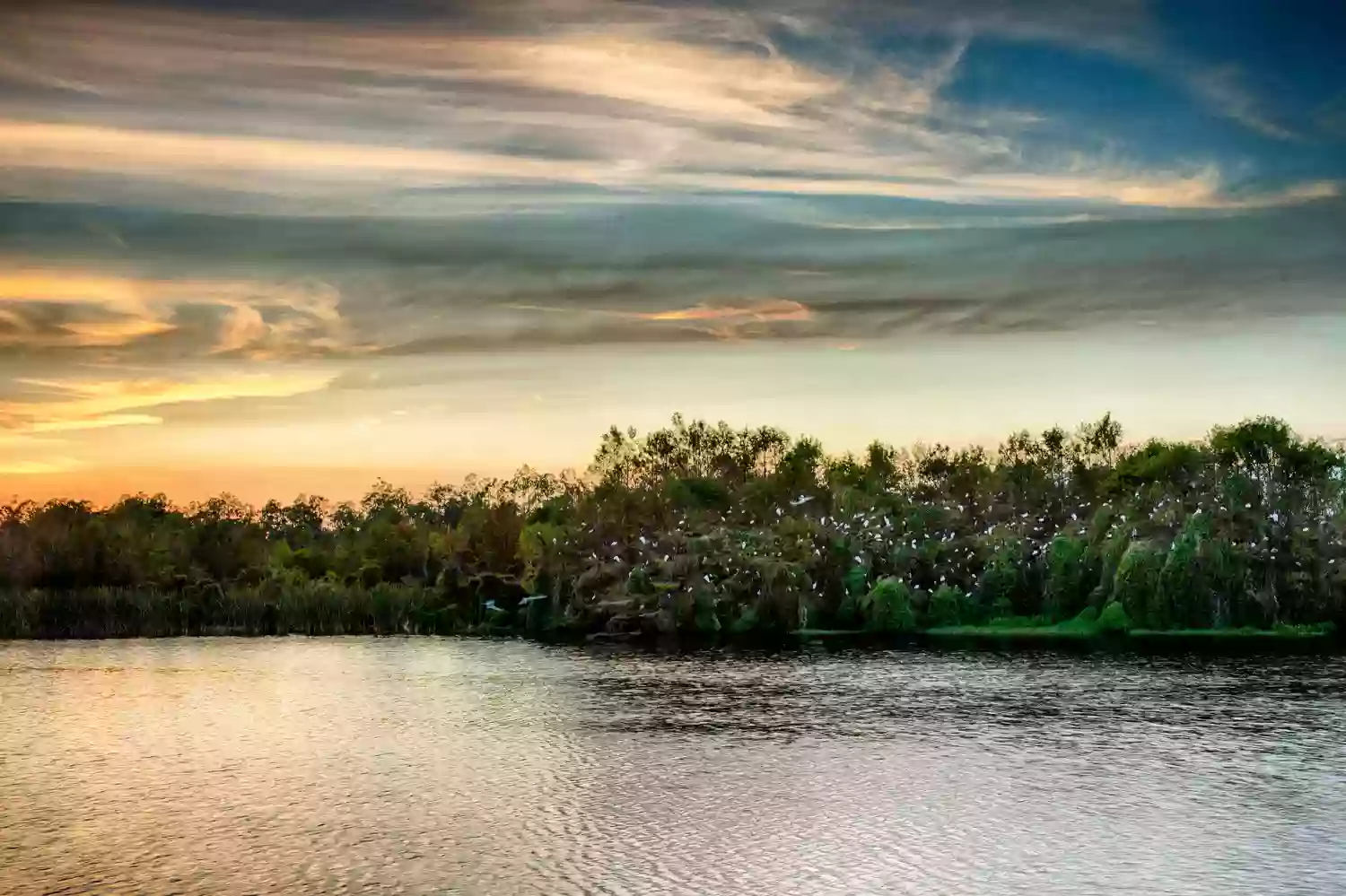 Six Mile Cypress Slough Preserve