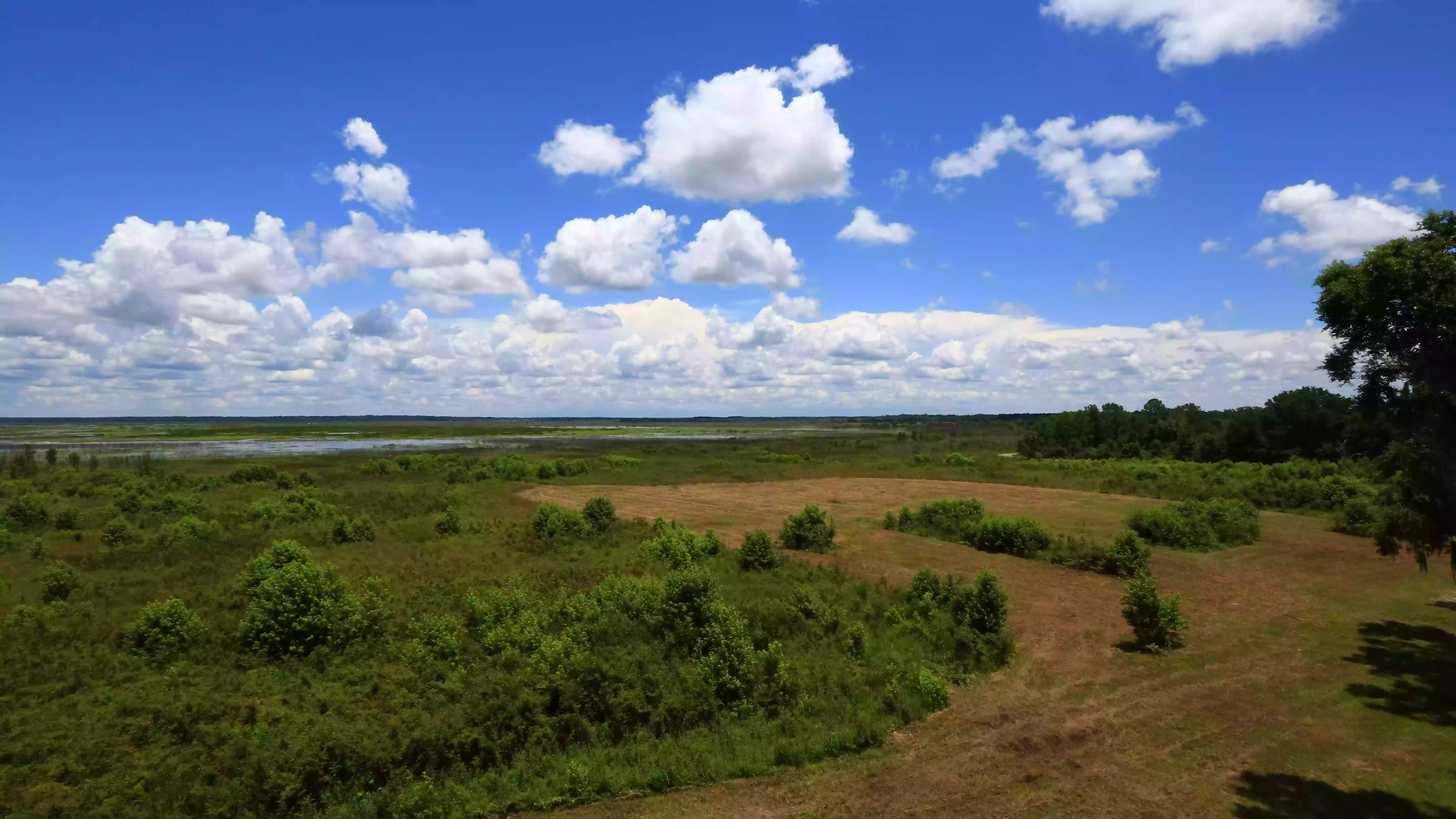 Paynes Prairie Preserve State Park