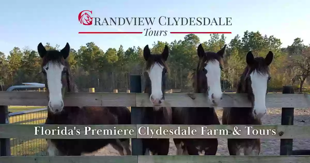 Grandview Clydesdales