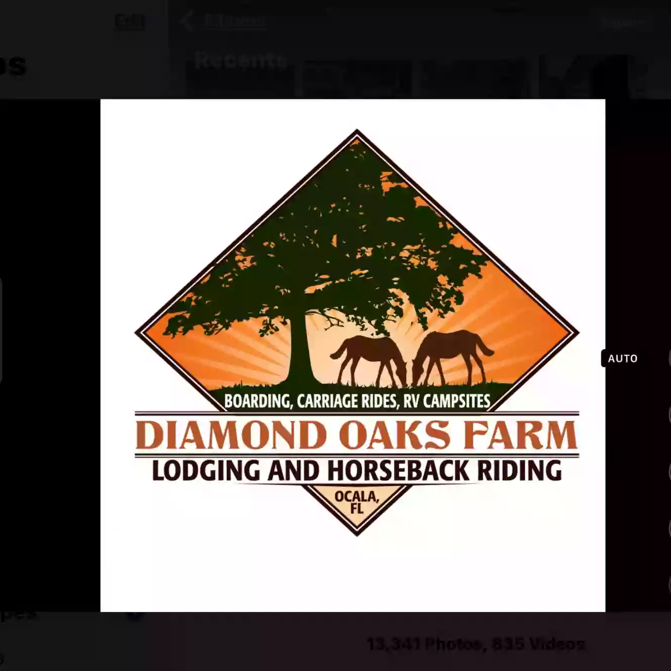 Diamond Oaks Farm Lodging & FL Dude Ranch