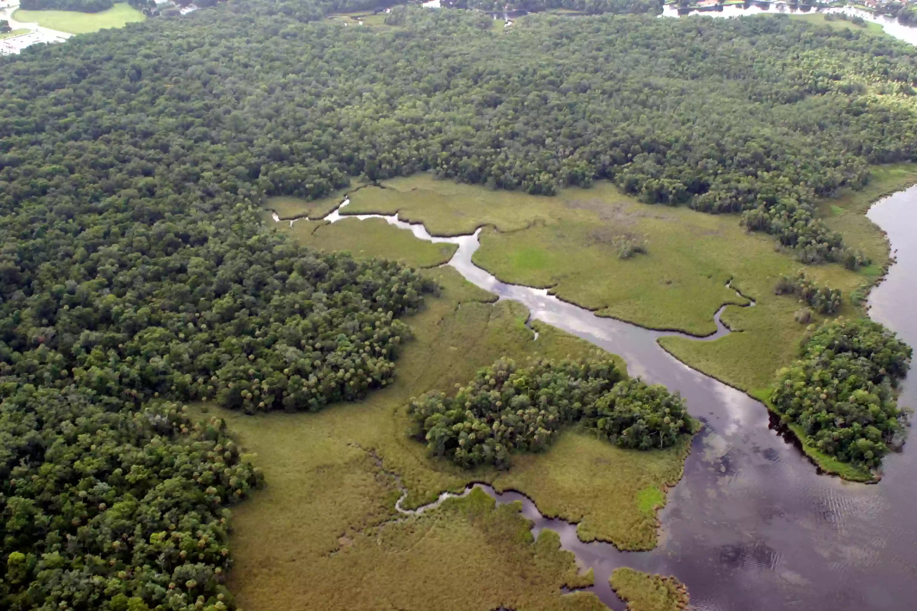 Crystal River Preserve State Park