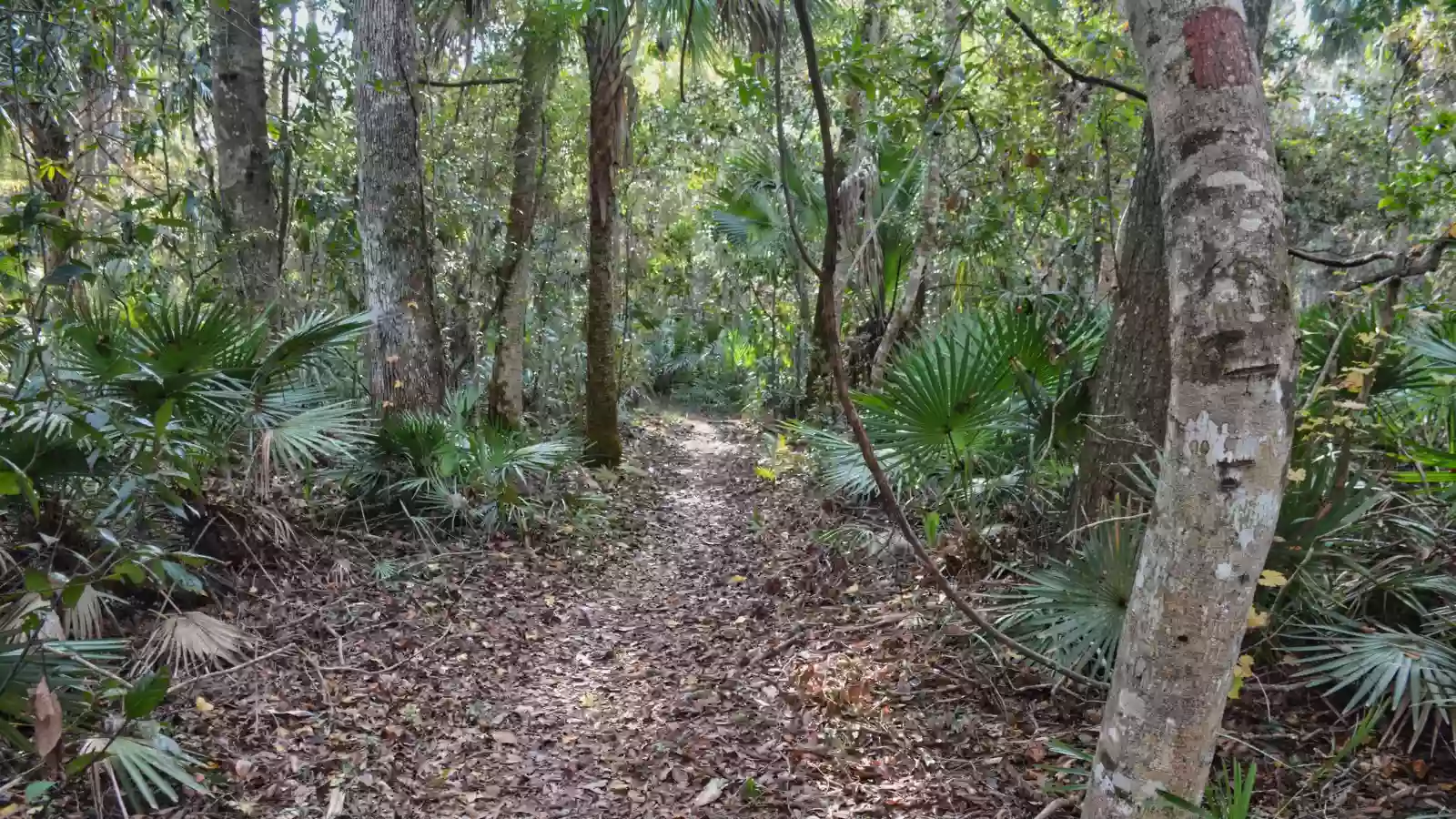 Flat Island Preserve