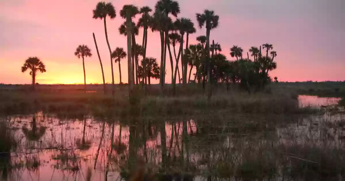 Lake Woodruff National Wildlife Refuge