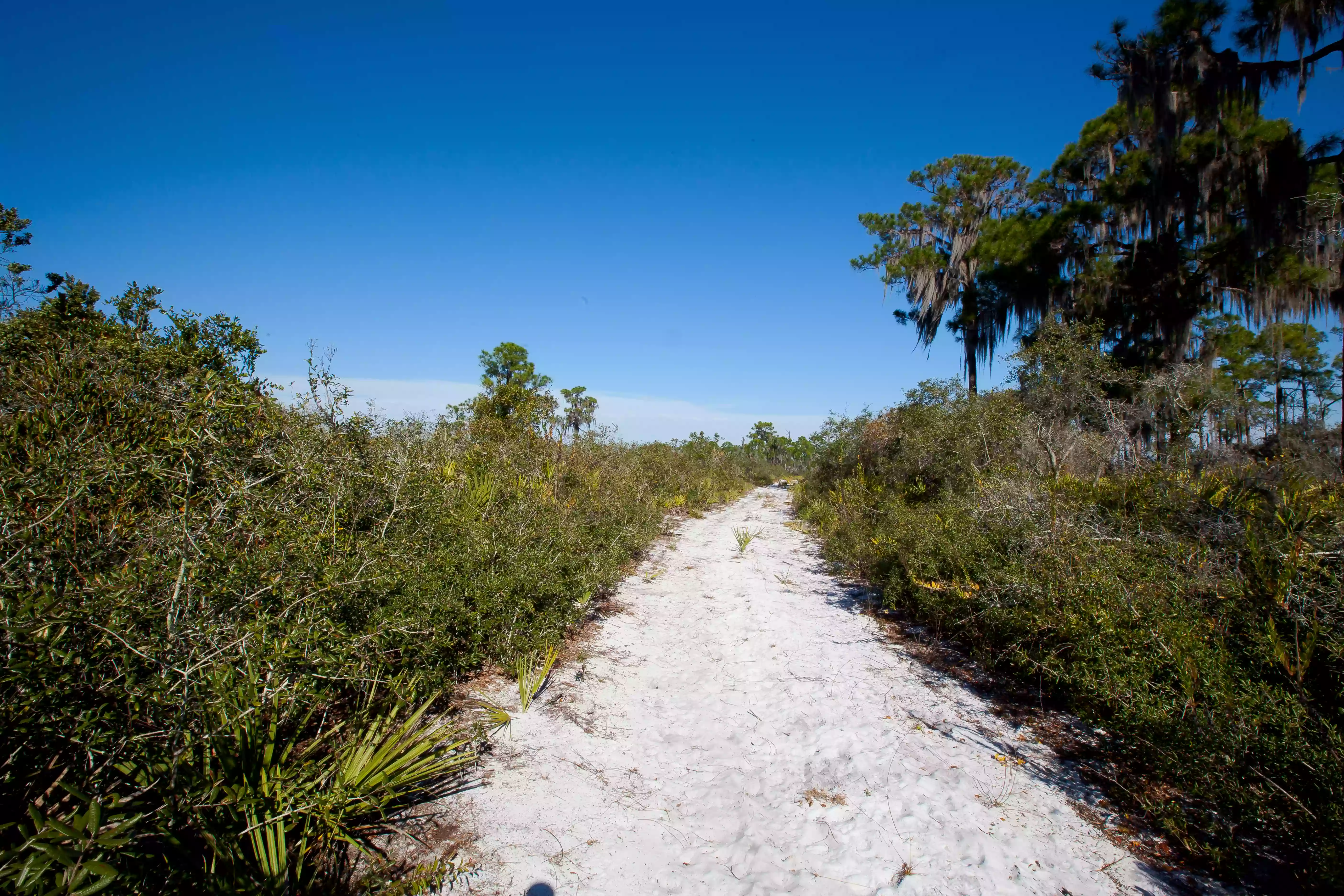 Lake June in Winter Scrub Preserve State Park