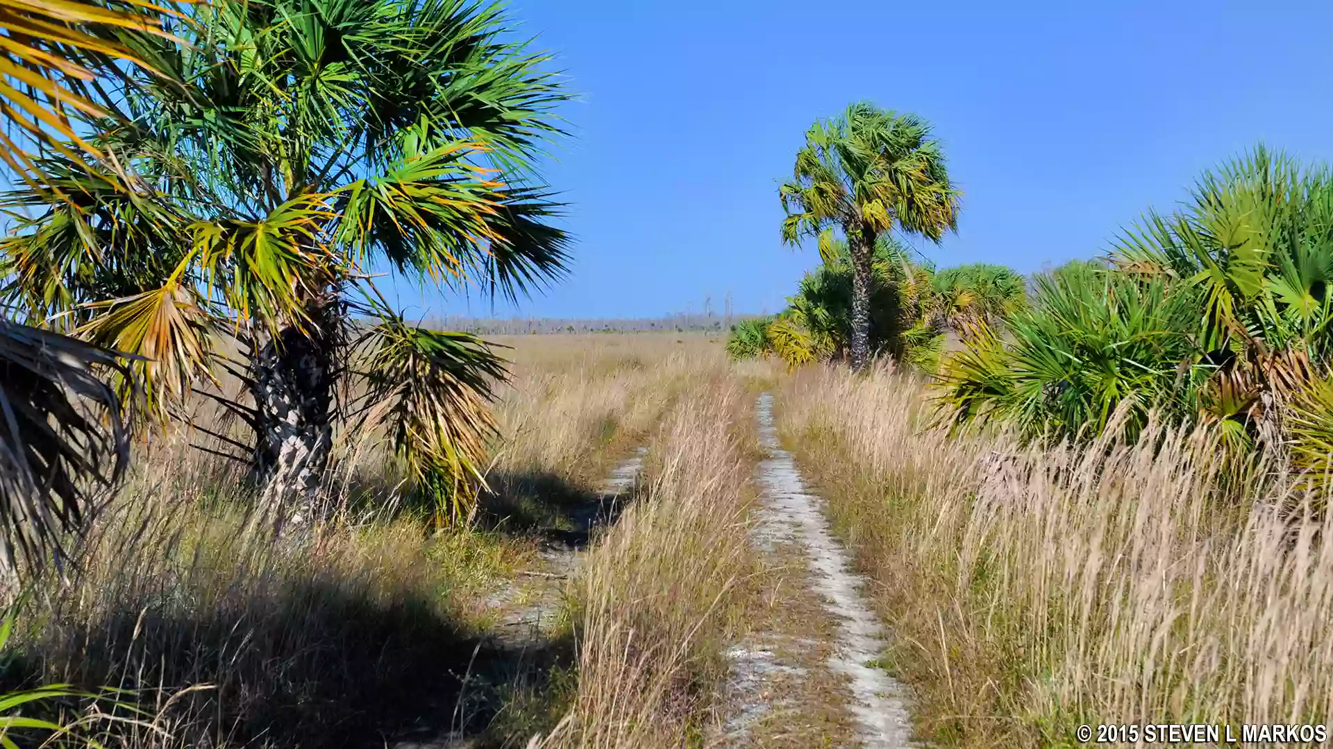 Fire Prairie Trail