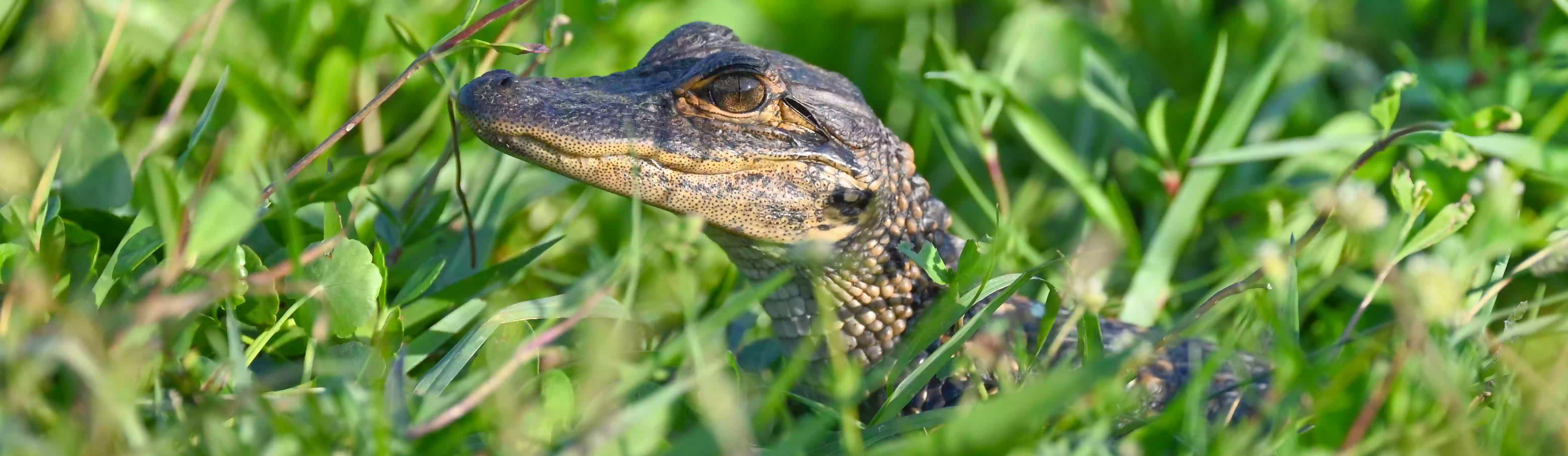 Everglades National Park