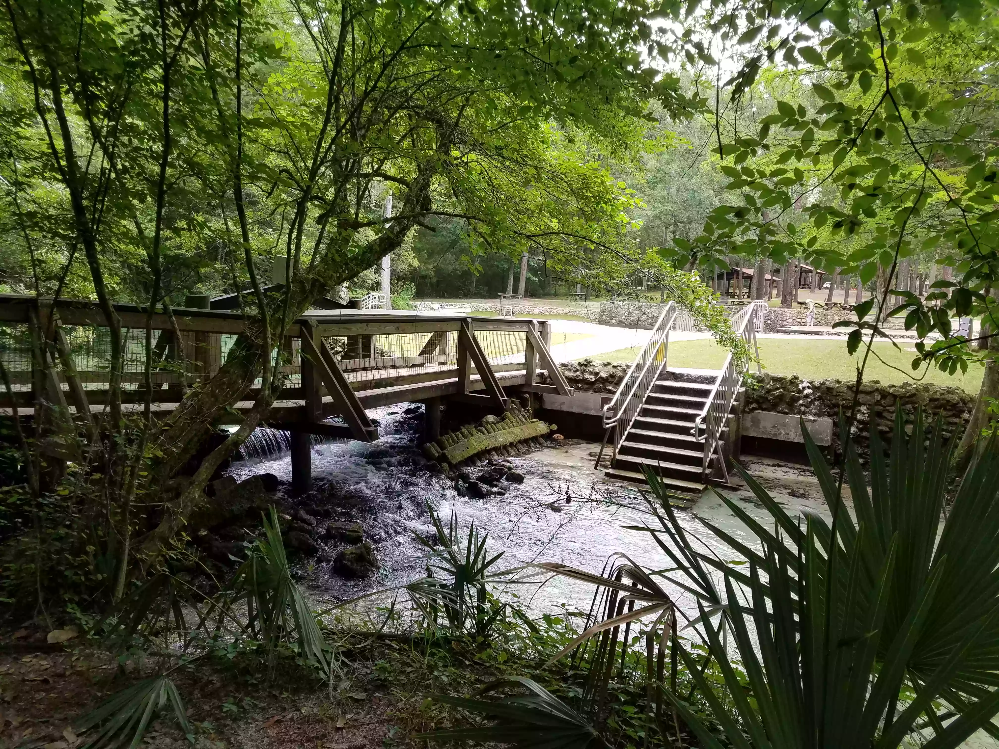 Ponce de Leon Springs State Park