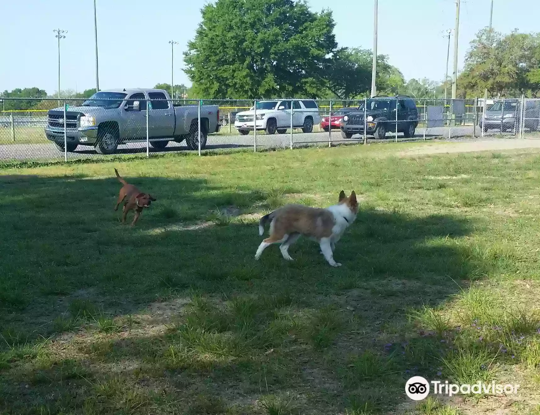 Eglin AFB Dog Park