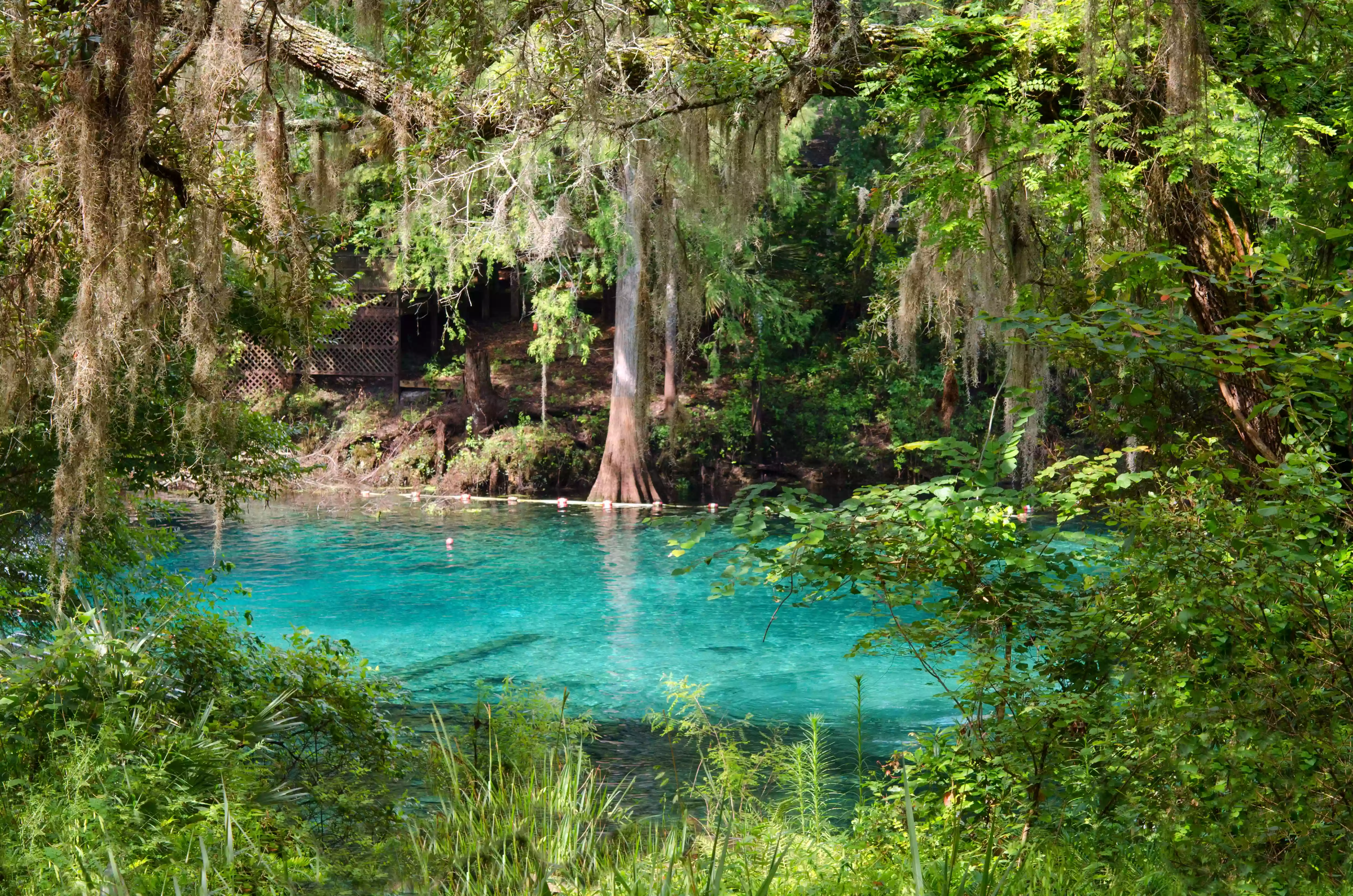 Fanning Springs Trailhead