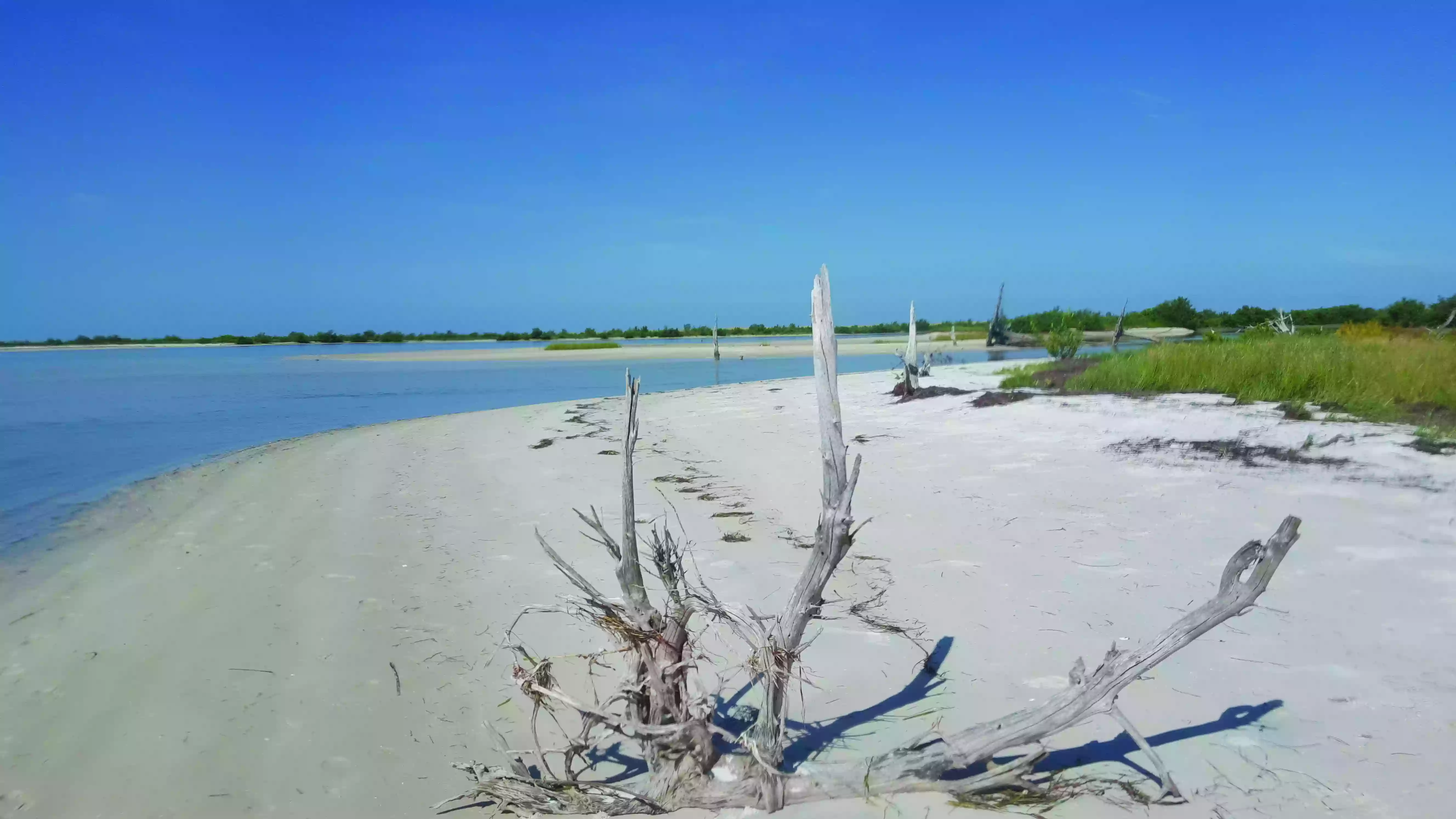 Anclote Key Preserve State Park