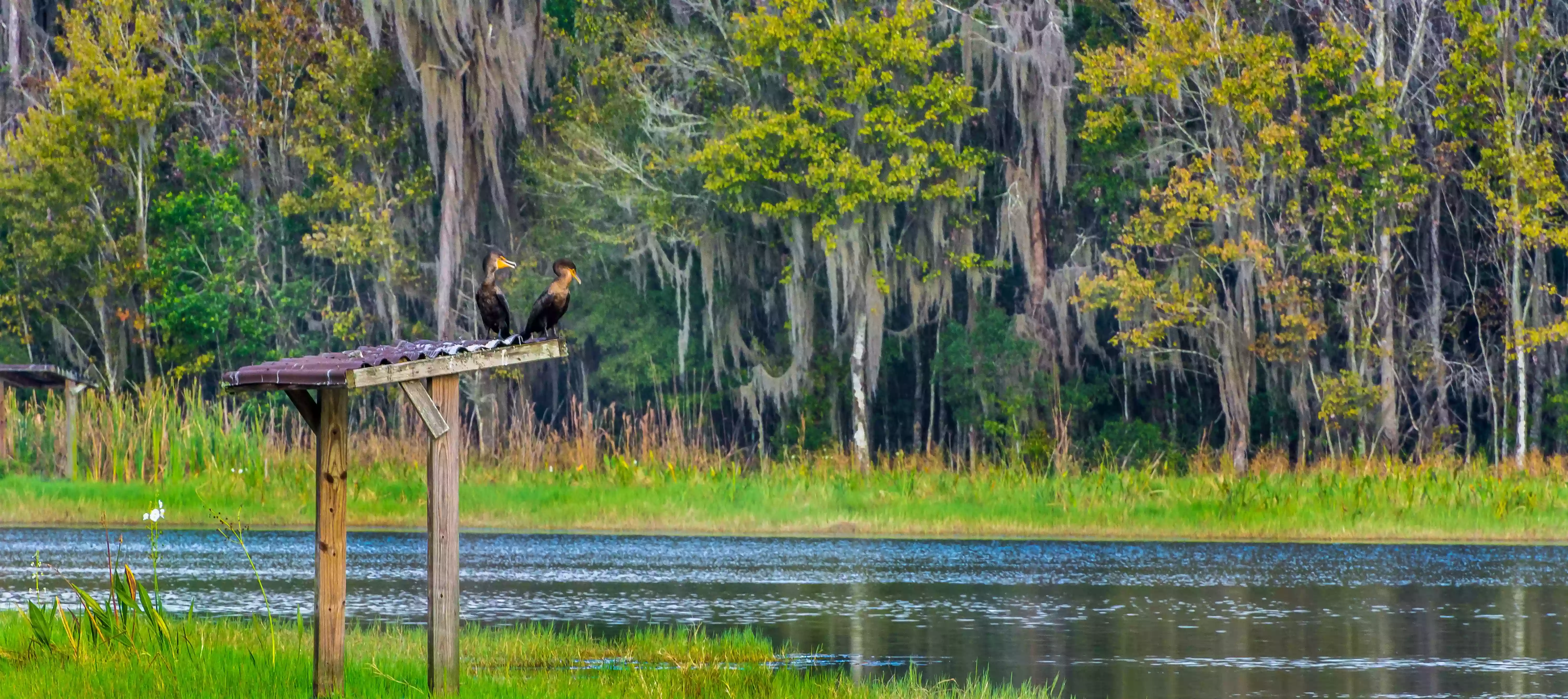 Colt Creek State Park