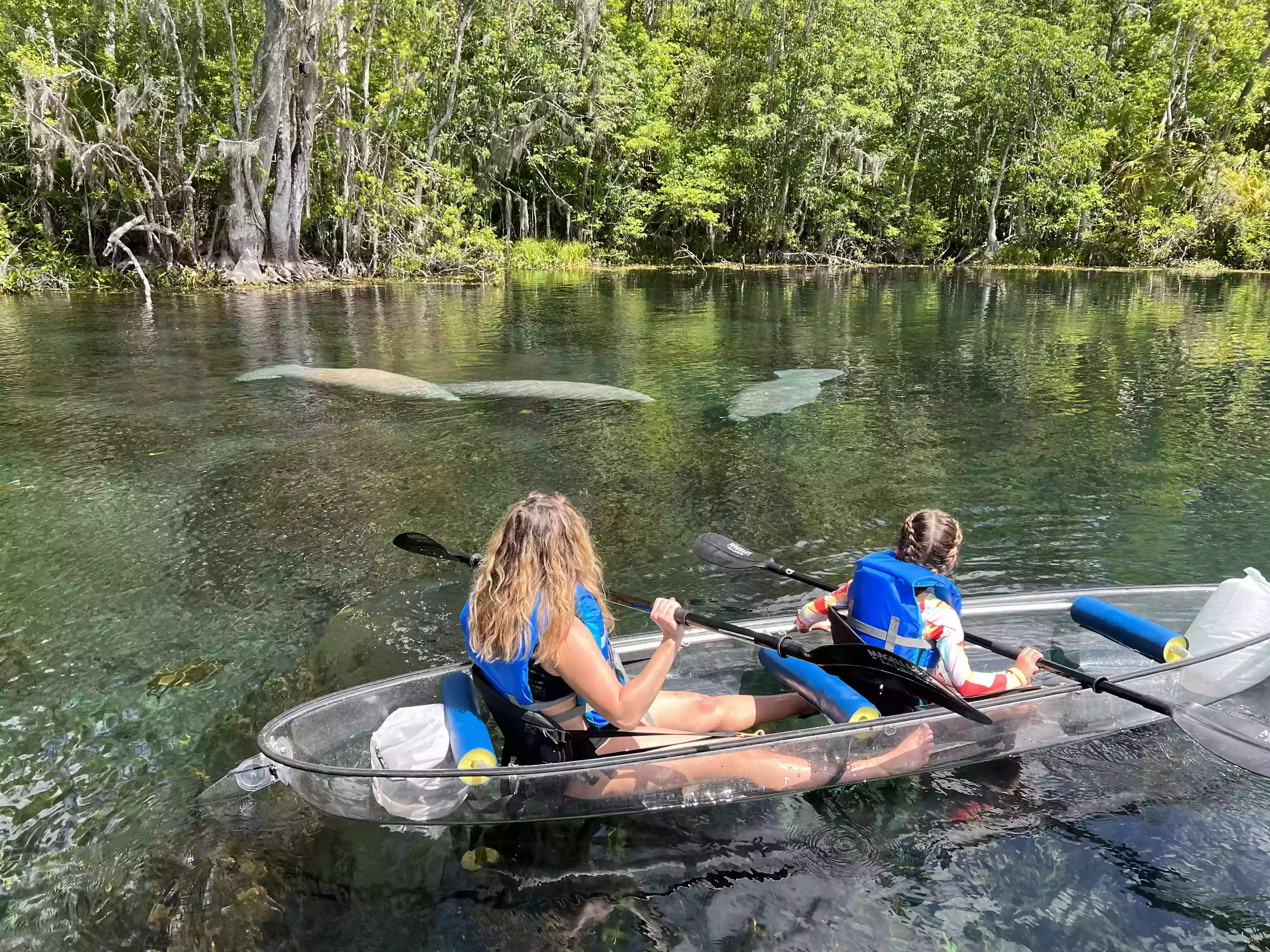 Silver Springs Clear Kayaking