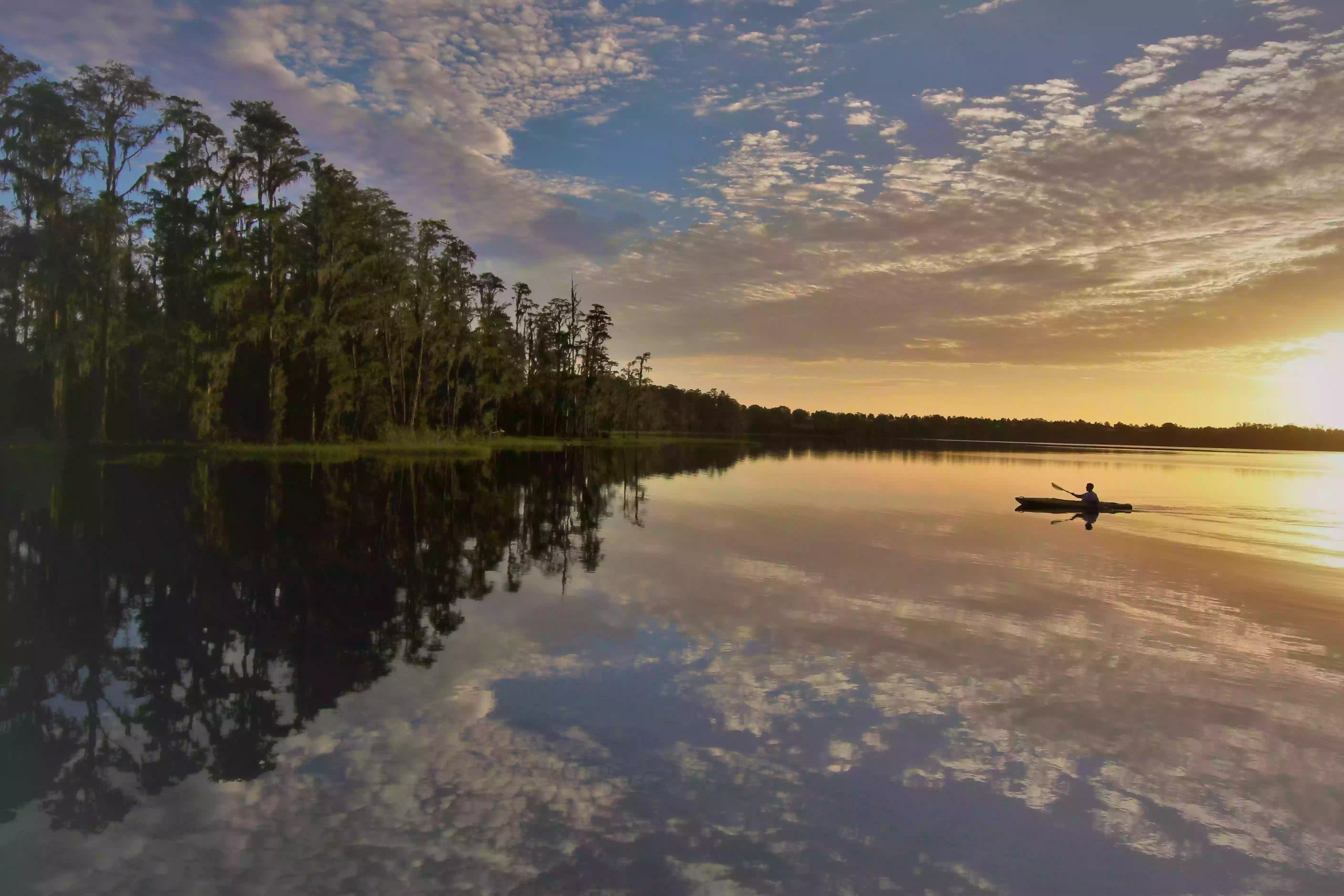 Lake Louisa State Park