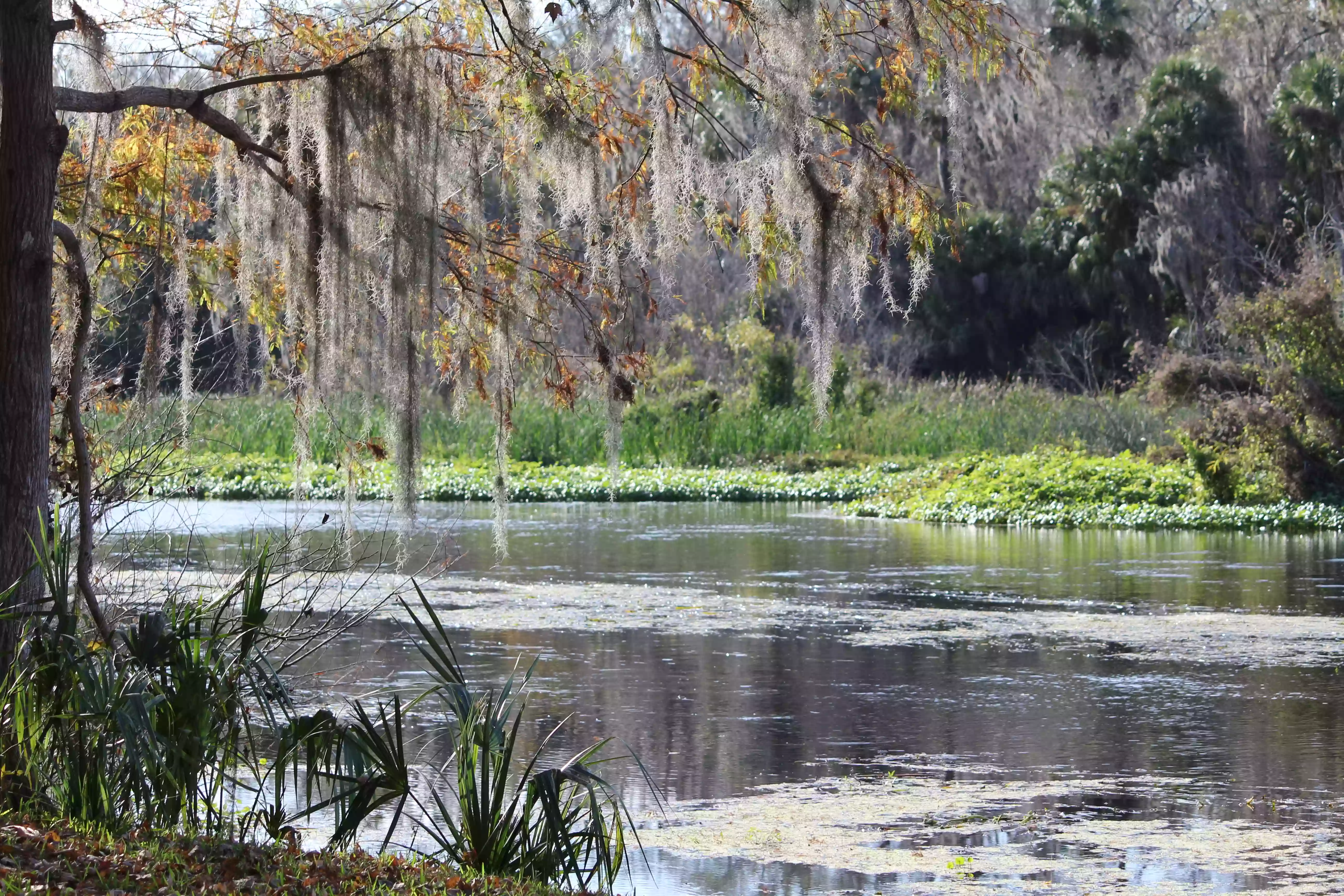 Katie's Landing at Wekiva River