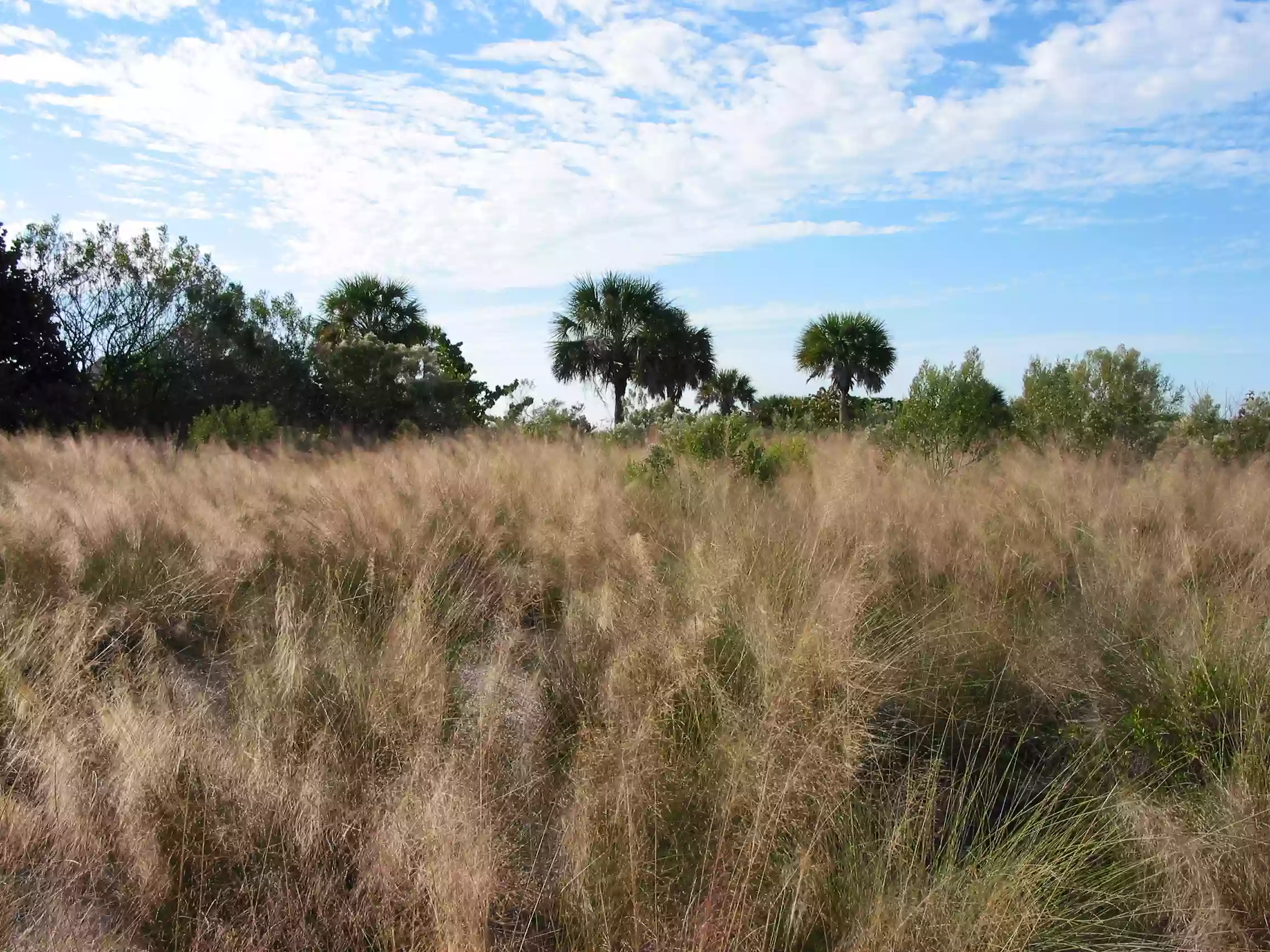 Don Pedro Island State Park