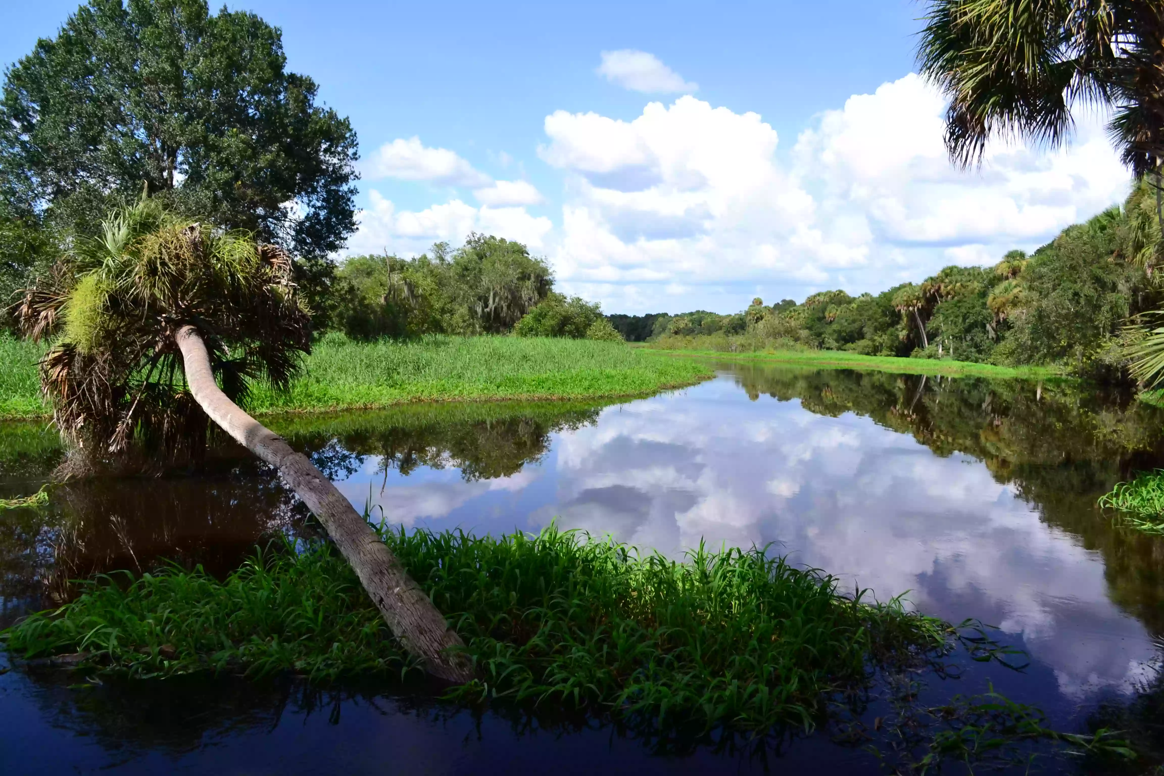 Myakka River State Park Main Entrance