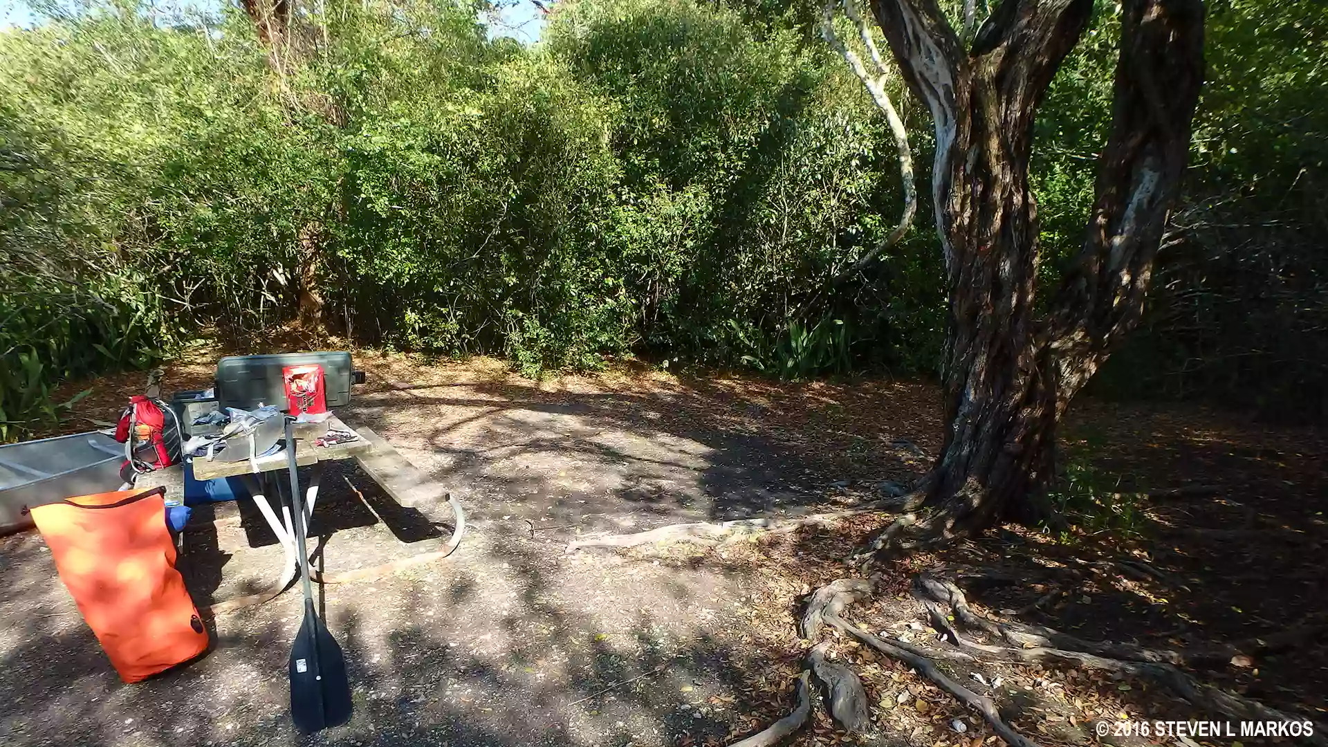 Tiger Key Campsite