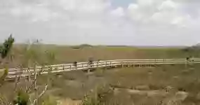 Pa-Hay-Okee Lookout Tower