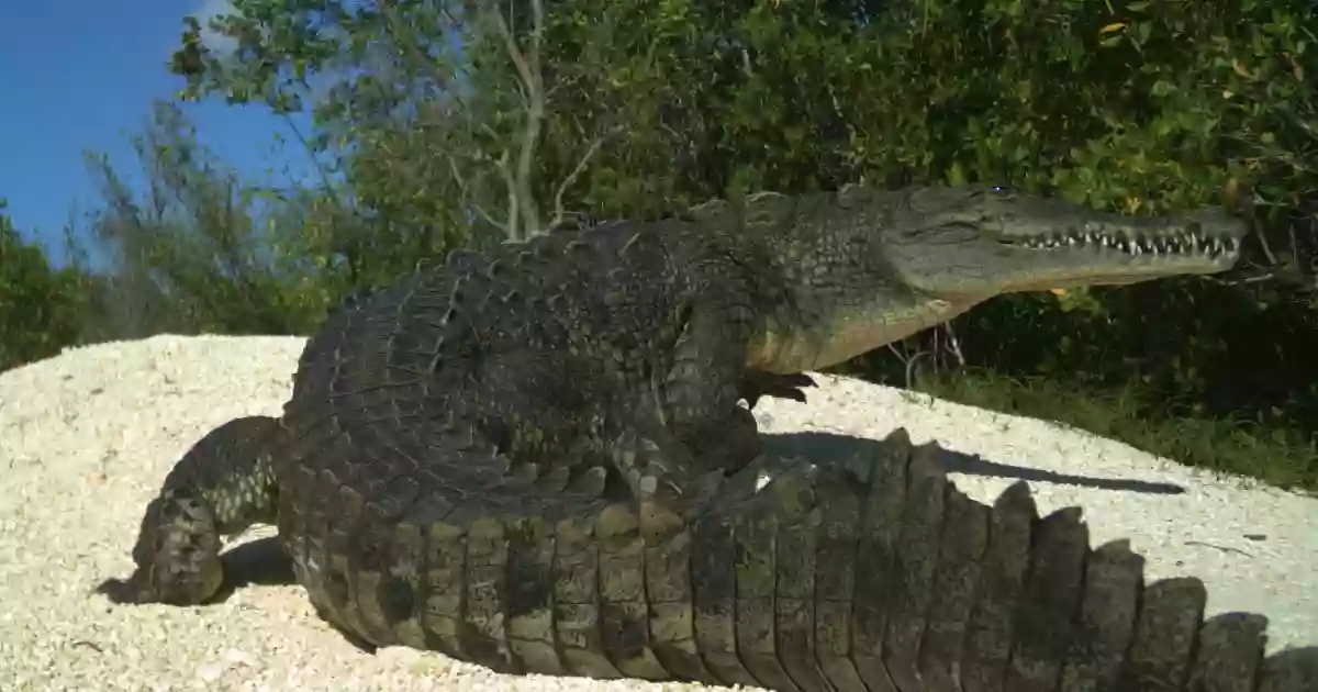 Crocodile Lake National Wildlife Refuge