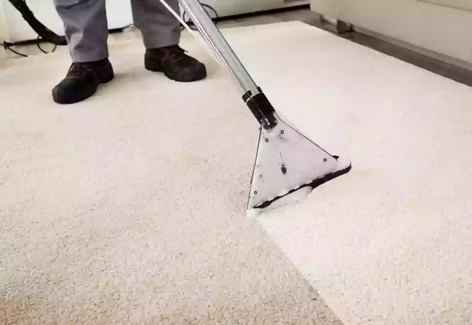 Valdivian Floor Cleaning