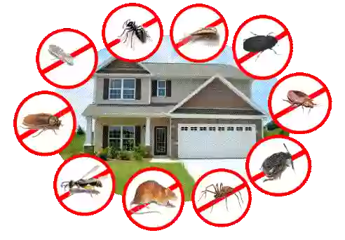 Pro-Tech Termite & Pest Control