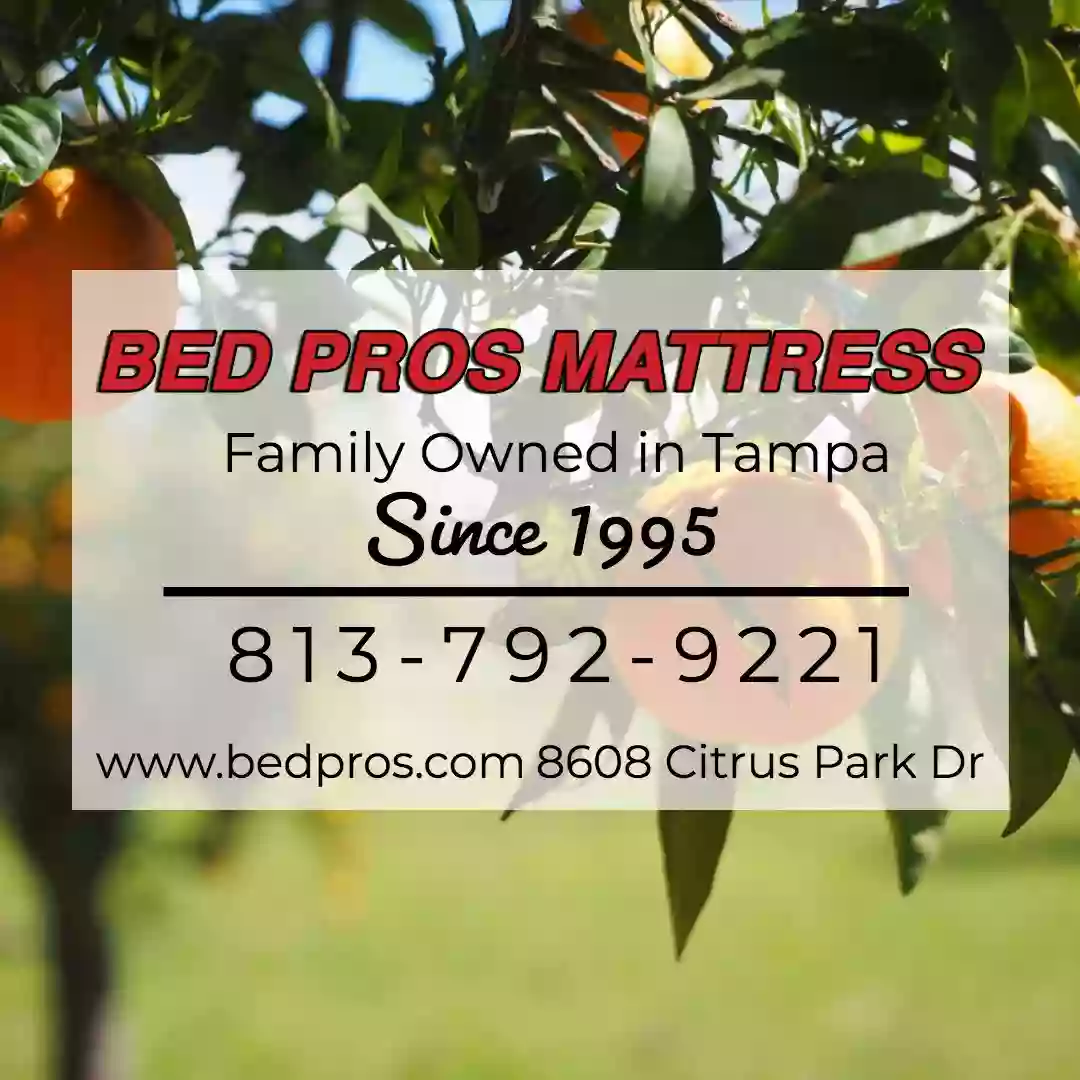 Bed Pros Mattress Citrus Park