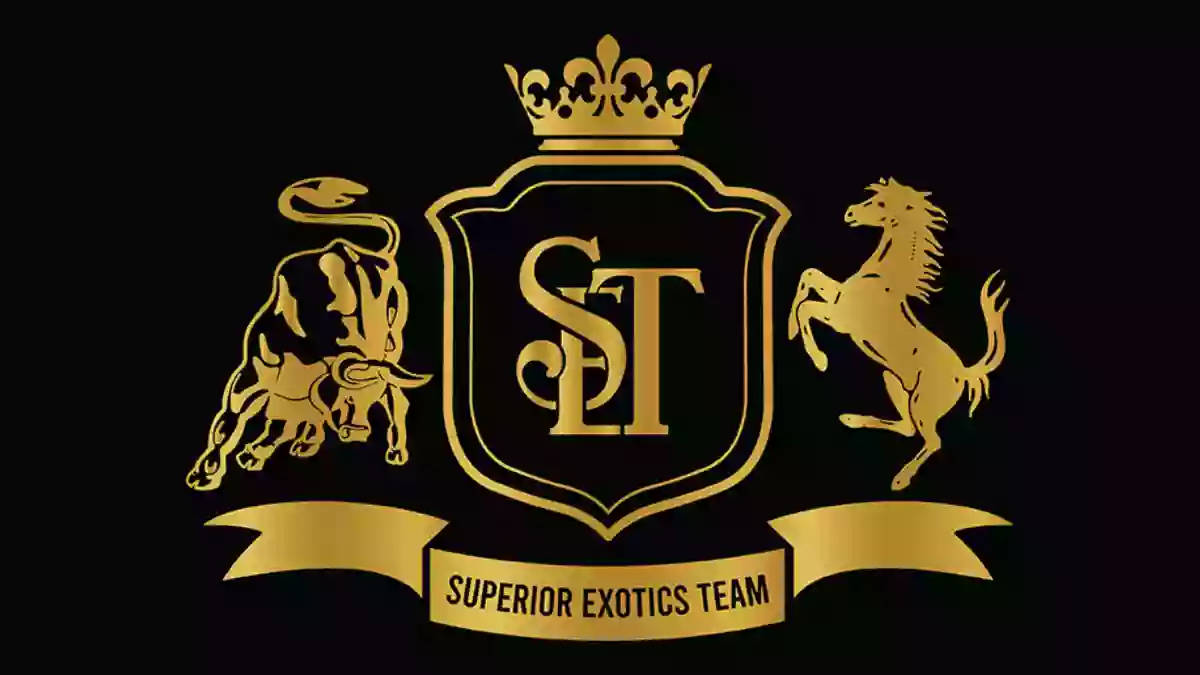 Superior Exotics Team - European Auto Center