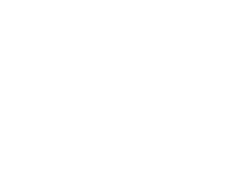 Soto Law Group, P.A.