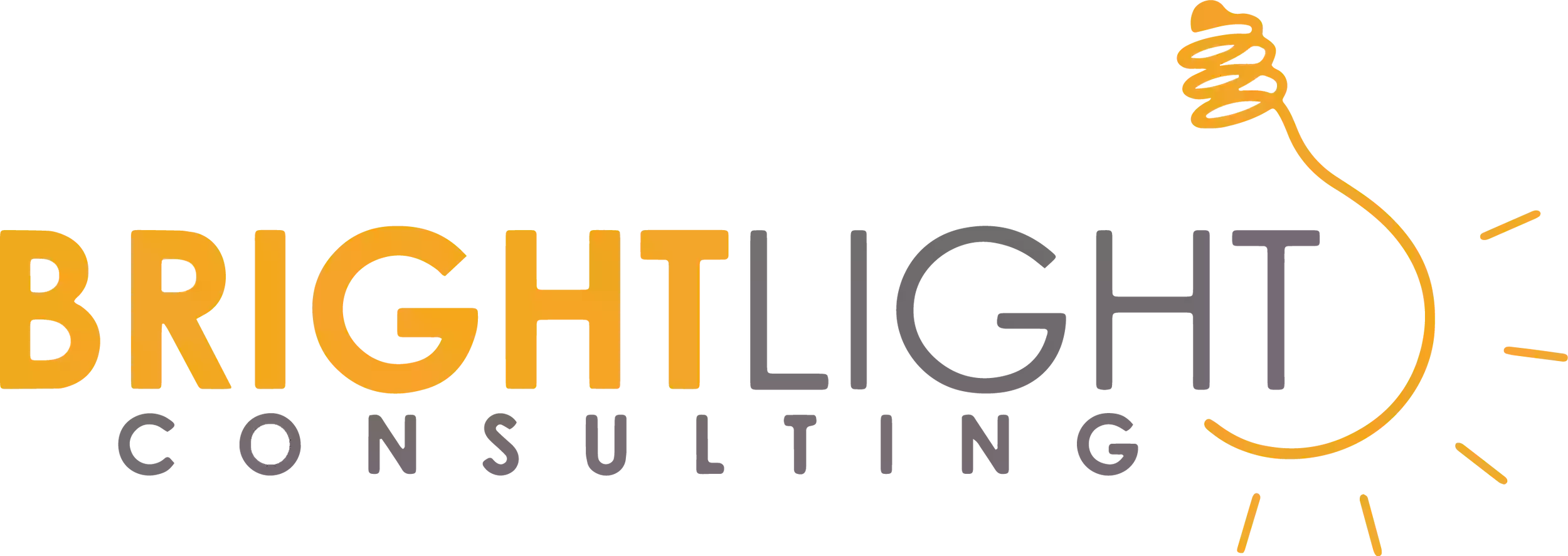 Bright Light Consulting LLC