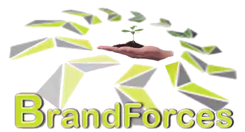 BrandForces Consulting